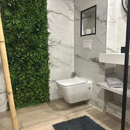 Grand Proche Colmar Au Calme Parking Wifi Wintzenheim