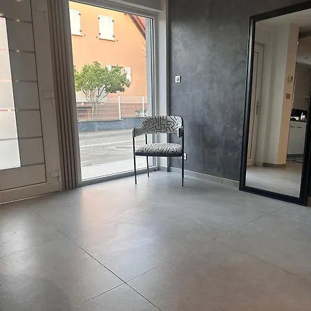 Appartement Grand Proche Colmar Au Calme Parking Wifi